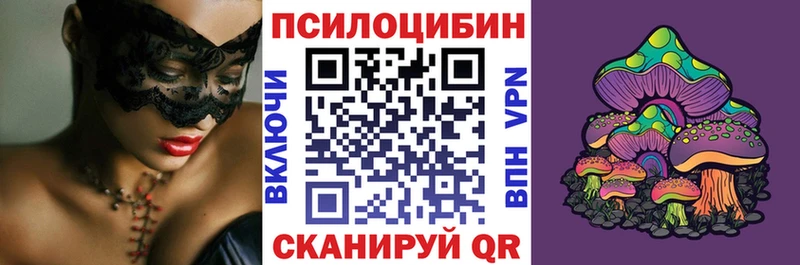 Галлюциногенные грибы GOLDEN TEACHER маркетплейс телеграм Аргун